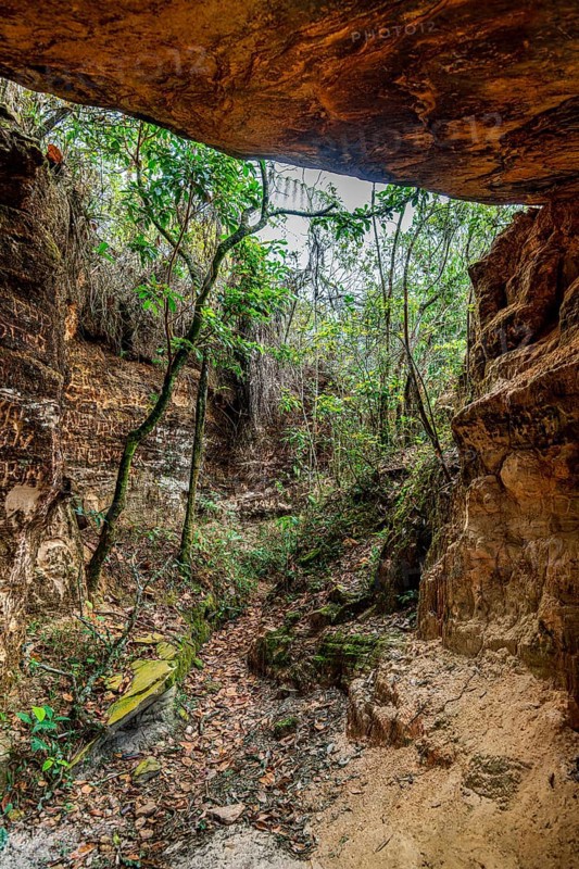 Cave entrance amidst the rainforest in the state of Minas Gerais, Brazil