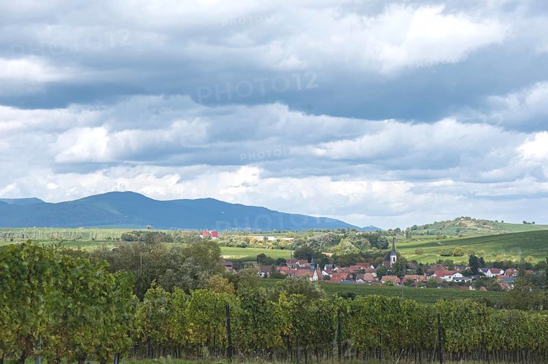 View of the wine town of Göcklingen, on the left the Palatinate Forest, on the right the Kleine Kalmit, South Palatinate, Rhineland-Palatinate, Germany