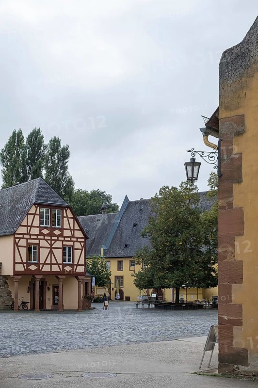 Weingut Schloss Vollrads, Oestrich-Winkel, Rheingau-Taunus-Kreis, Hesse, Germany