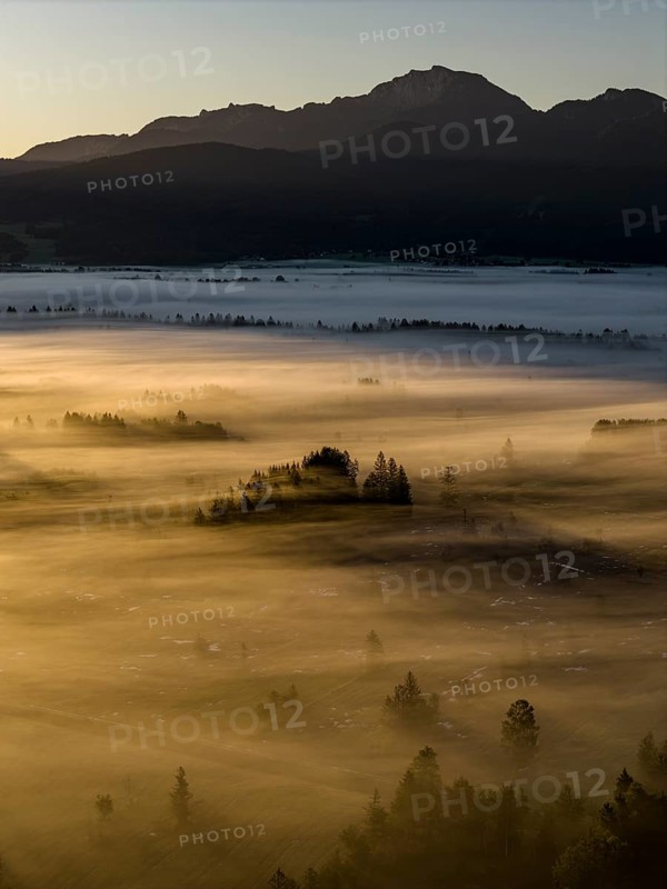 Fog, clouds of fog, trees, back light, sunrise, mountains, aerial view, Loisach-Lake Kochel-Moore, Upper Bavaria, Bavaria, Germany