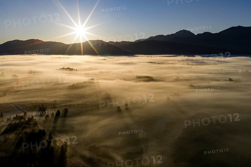 Fog, clouds of fog, trees, back light, sunrise, mountains, aerial view, Loisach-Lake Kochel-Moore, Upper Bavaria, Bavaria, Germany