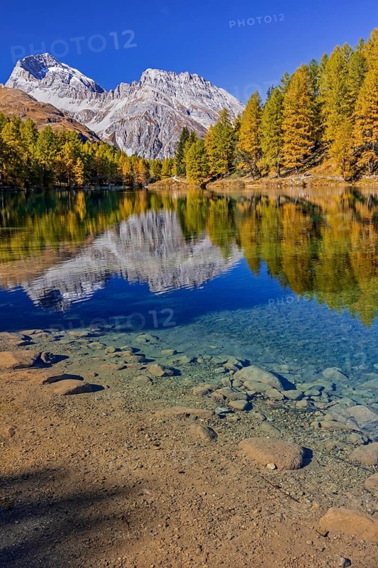 Mountain lake, reflection, mountains, larch forest, autumn discoloration, autumn, sunny, Lake Palpuogna, Engadin, Switzerland