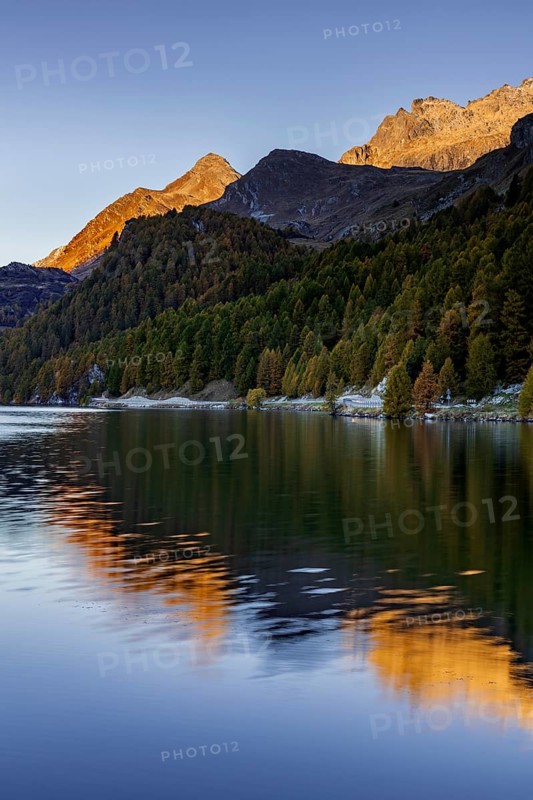 Mountain lake, reflection, mountains, larch forest, autumn discoloration, autumn, sunrise, Lake Sils, Engadin, Switzerland