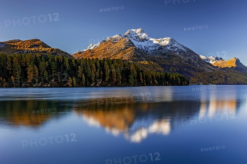 Mountain lake, reflection, mountains, larch forest, autumn discoloration, autumn, sunrise, Lake Sils, Engadin, Switzerland
