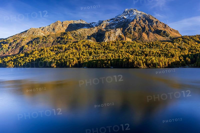 Mountains are reflected in lake, evening light, larch, autumn, autumn color, Lake Sils, Engadin, Switzerland
