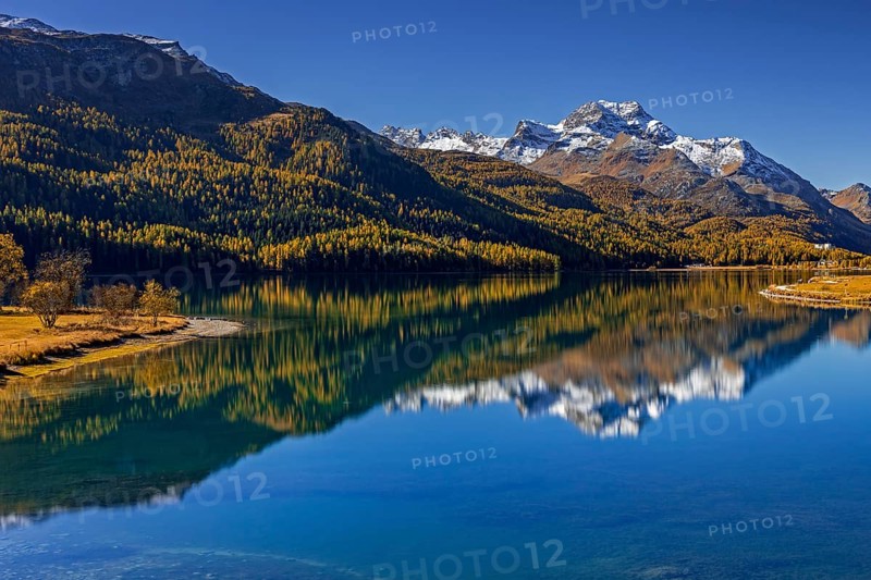 Mountain lake, reflection, mountains, larch forest, autumn discoloration, autumn, sunny, Silvaplana, Engadin, Switzerland