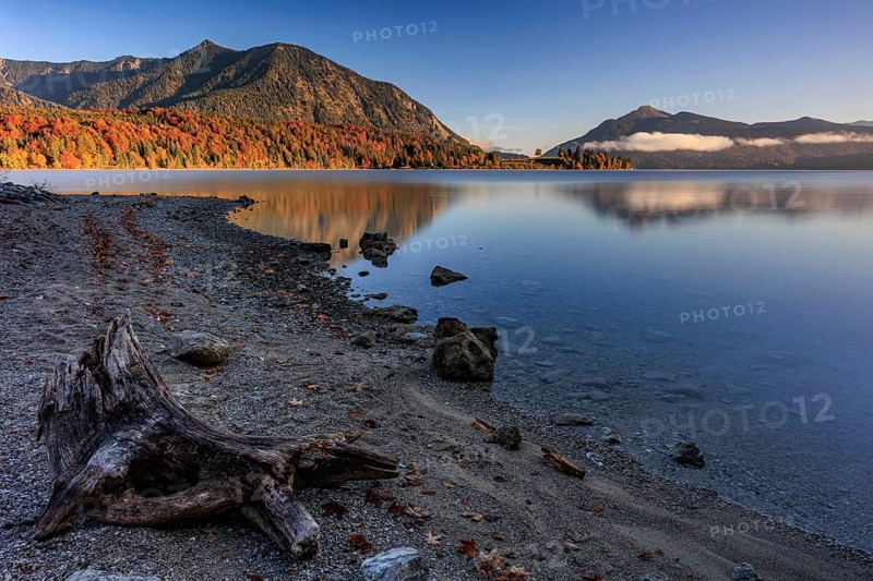 Mountain lake, reflection, morning light, mountains, shore, autumn, autumn color, Walchensee, Upper Bavaria, Bavaria, Germany