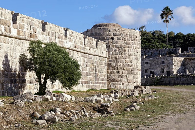 Inner fortification, olive tree, bastion, Neratzia fortress, also Nerantzia, castle, first mentioned in 1395, former fortress of the Order of St. John, today ruin, city of Kos, island of Kos, Dodecanese islands, Greece, eastern Adriatic, Mediterranean