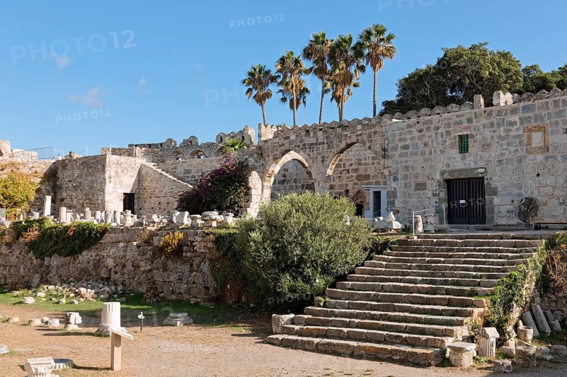 Entrance, staircase, palm trees, fragments from Roman times, olive tree, Neratzia fortress, also Nerantzia, castle, first mentioned in 1395, former fortress of the Order of St. John, today ruin, city of Kos, island of Kos, Dodecanese islands, Greece, eastern Adriatic, Mediterranean