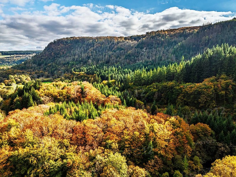 Autumn colours over Gwydir Forest Park from a drone, Afon Lledr, Road A470, Snowdonia, Eryri, Wales, England, United Kingdom