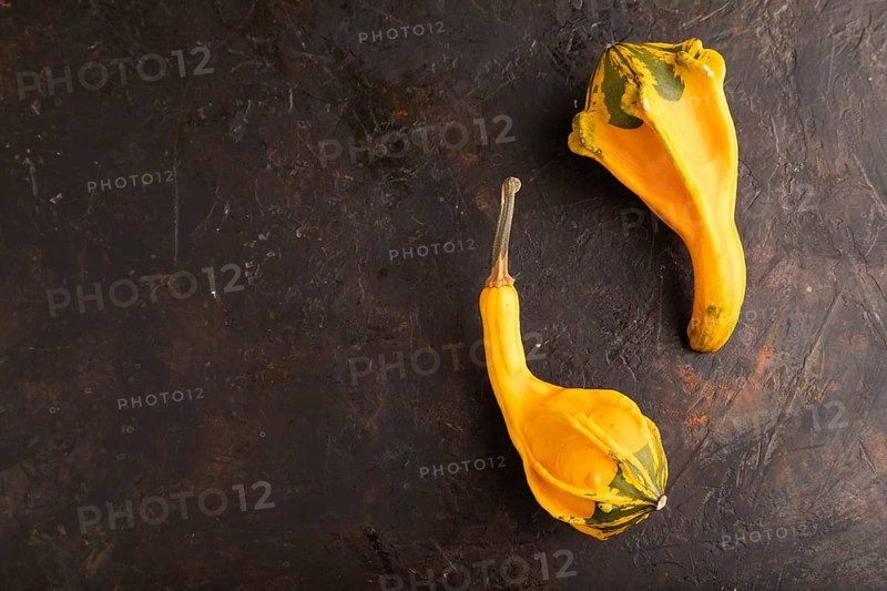 Two decorative orange Pumpkins on black concrete background, top view, flat lay, copy space, minimalism