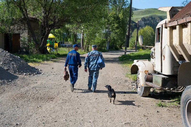 Two men walking a dog on a rural road flanked by old vehicles and green surroundings, police officers on their way to work, Vorotan, Vorotan, Syunik province, Armenia