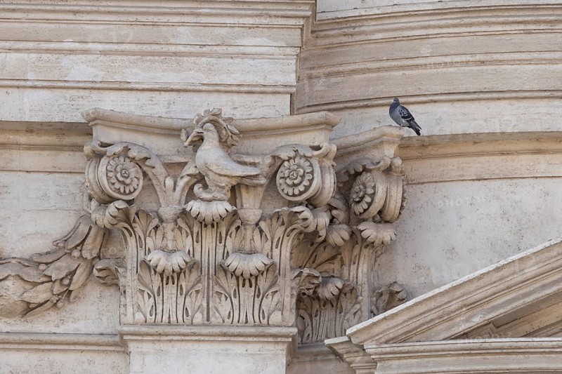 Feral dove (Columba livia) adult bird on a building with a peace dove bird sculture in the city of Rome, Italy