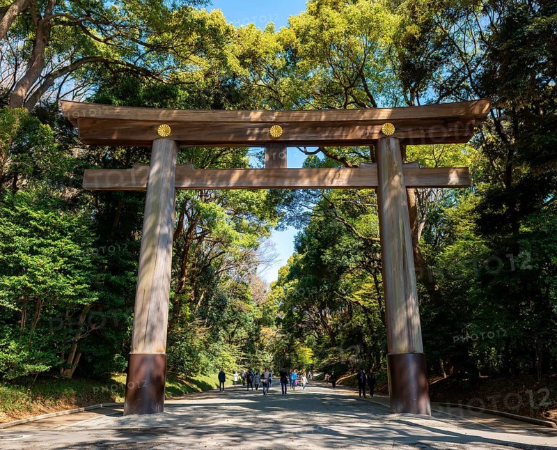 Kitasando Torii Grand Gate, Meiji Jingu Entrance, Meiji Shrine, Shinto Shrine, Yoyogi Park, Shibuya, Tokyo