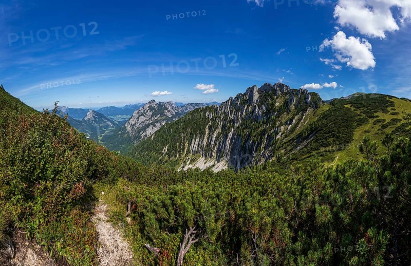Hiking trail to Braunedlkogel with views to Scharfen and Rinnkogel, Postalm, Osterhorn Group, Salzkammergut, State of Salzburg, Austria