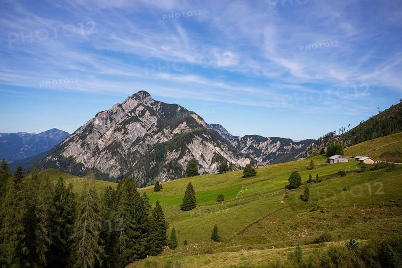 Alpine meadow with Rettenegghütte and Rinnkogel, Postalm, Osterhorn Group, Salzkammergut, Province of Salzburg, Austria