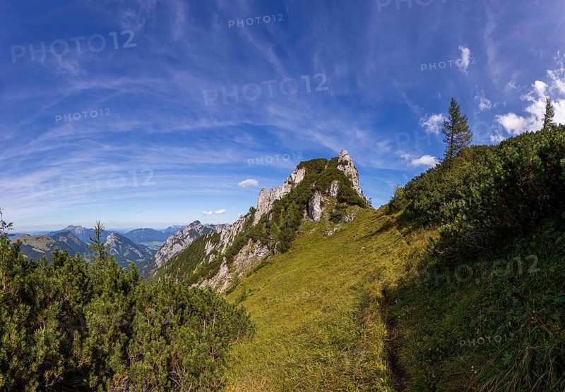 Hiking trail to Scharfen, Postalm, Osterhorn Group, Salzkammergut, Province of Salzburg, Austria