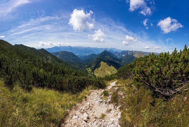 Hiking trail on the Braunedlkogel, Postalm, Osterhorn Group, Salzkammergut, Province of Salzburg, Austria