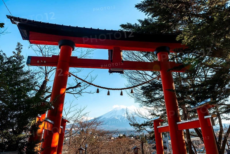 Red Torii Gate at Shinto Shrine Arakura Fuji Sengen Shrine, view of Mount Fuji Volcano Mountain, Yamanashi Prefecture, Japan