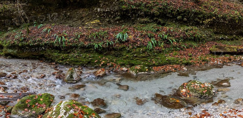 Stream in autumn, Gams, Styria, Austria