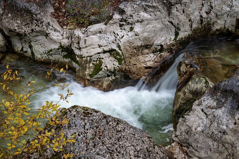 Stream in autumn in the Nothklamm, Gams, Palfau, Hieflau, Styria, Austria