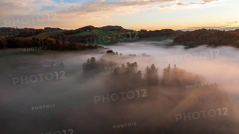 Aerial view, sunrise, typical landscape in autumn with vineyards, South Styrian hills, South Styrian wine route, Styria, Austria