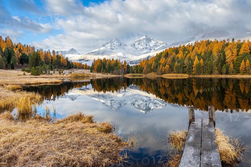 Lake Stazer in front of mountain peaks with snow, mixed forest with larch (Larix) in autumn, wooden walkway, reflection, autumn, Piz Albana, Piz Julier, Piz Nair, Piz Polaschin, Celerina/Schlarigna, Engadin, Graubünden, Switzerland