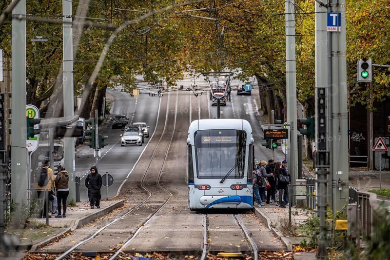 Bogestra tram, line 302 on Alleestraße, driving school, training trip, tram line in the middle of the street, stop J.-Mayer-S/Jahrh.-Halle, North Rhine-Westphalia, Germany