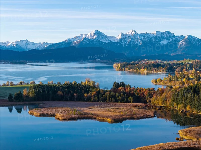 View of a lake with mountains in the background and autumn vegetation, Illasbergsee, Forggensee, near Roßhaupten, Ostallgäu, Allgäu, Swabia, Bavaria, Germany