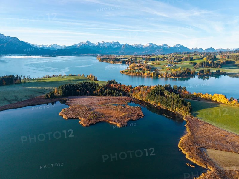 Clear lake with surrounding colorful autumn forests and the Alps in the background, Illasbergsee, Forggensee, near Roßhaupten, Ostallgäu, Allgäu, Swabia, Bavaria, Germany