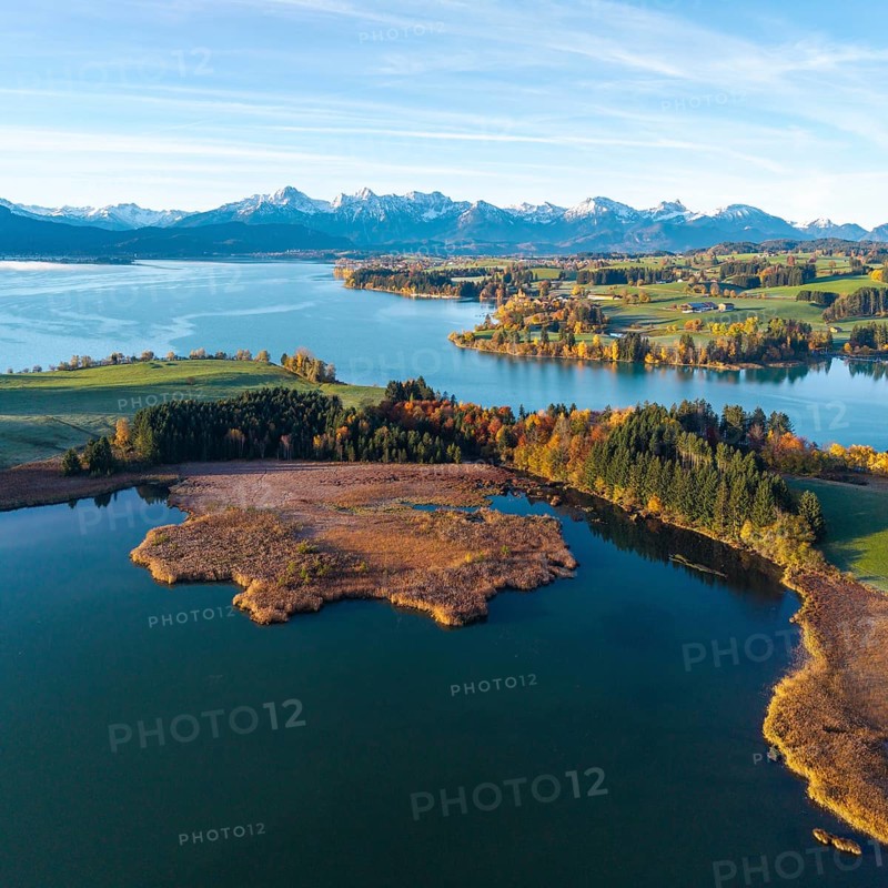 Large lake in autumn surroundings with the Alps in the distance under clear skies, Illasbergsee, Forggensee, near Roßhaupten, Ostallgäu, Allgäu, Swabia, Bavaria, Germany