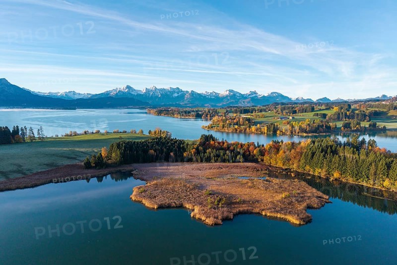 View of a lake with autumn leaves and mountains in the background under a clear sky, Illasbergsee, Forggensee, near Roßhaupten, Ostallgäu, Allgäu, Swabia, Bavaria, Germany