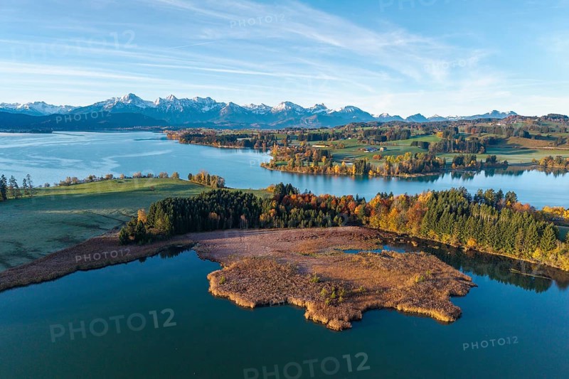 Extensive autumn landscape with a lake and a view of the mountains in the background, Illasbergsee, Forggensee, near Roßhaupten, Ostallgäu, Allgäu, Swabia, Bavaria, Germany