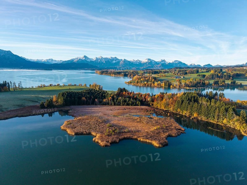 Clear image of a lake surrounded by autumn trees and mountain views, Illasbergsee, Forggensee, near Roßhaupten, Ostallgäu, Allgäu, Swabia, Bavaria, Germany