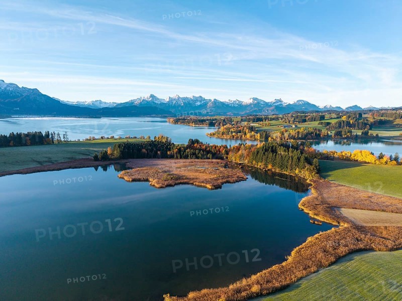 Quiet lake with autumnal shore and mountain panorama in the background, Illasbergsee, Forggensee, near Roßhaupten, Ostallgäu, Allgäu, Swabia, Bavaria, Germany