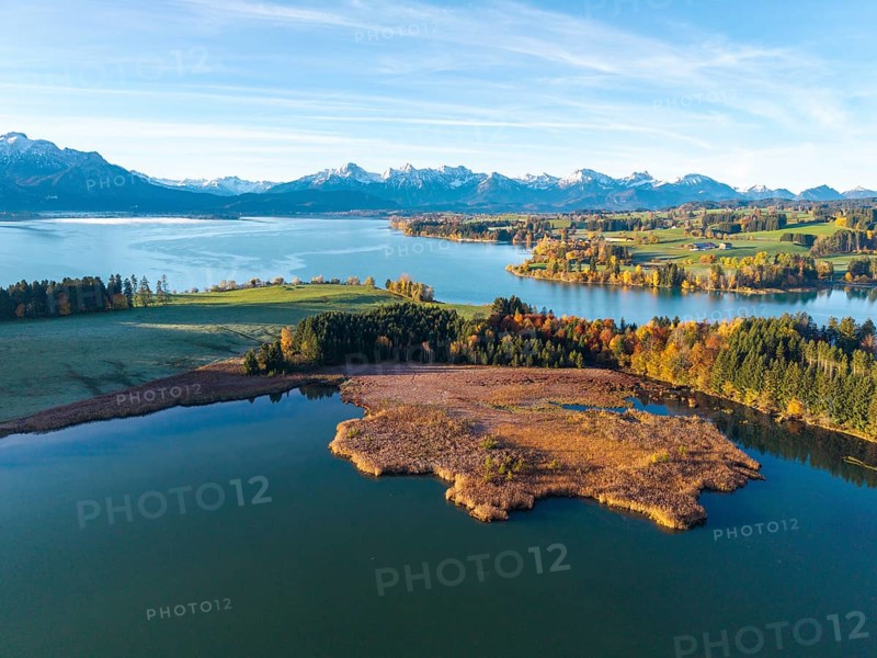 Clear lake, surrounded by autumn trees, with alpine peaks on the horizon under clear sky, Illasbergsee, Forggensee, near Roßhaupten, Ostallgäu, Allgäu, Swabia, Bavaria, Germany