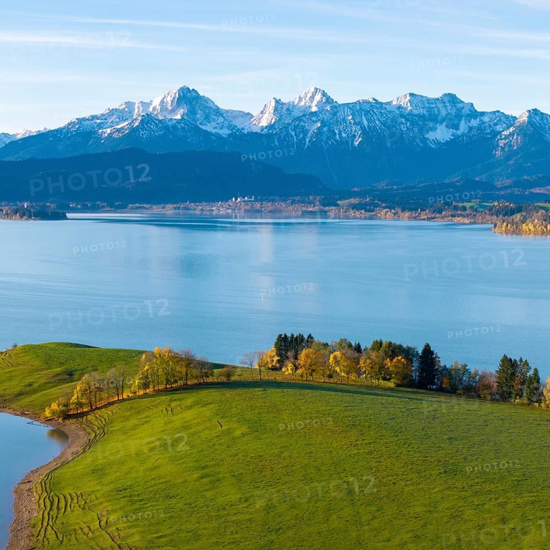 Green hills and trees on the shores of a quiet lake against the backdrop of majestic alpine mountains, Forggensee, near Roßhaupten, Ostallgäu, Allgäu, Swabia, Bavaria, Germany