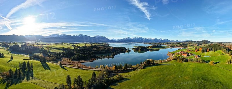 Wide panoramic view of a green landscape with lake and mountain backdrop under clear sky, Forggensee, near Roßhaupten, Ostallgäu, Allgäu, Swabia, Bavaria, Germany