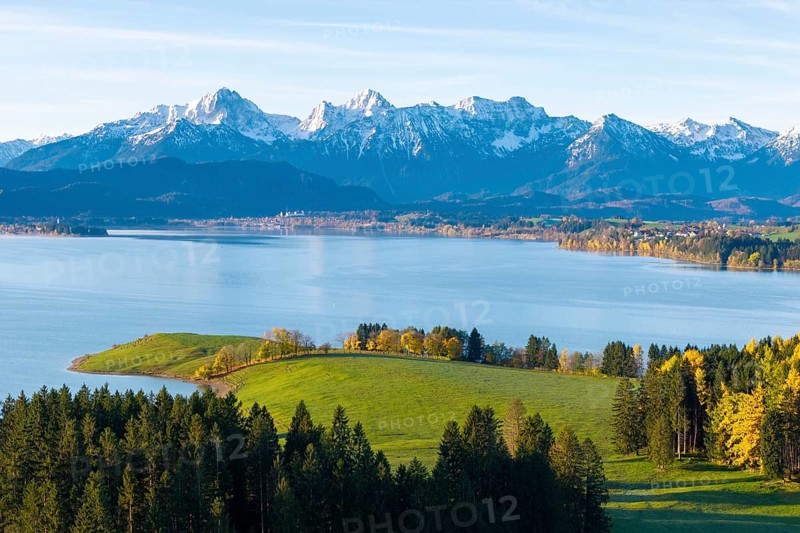 Green hills and forests with Alps in the background under blue sky on the shores of a lake, Forggensee, near Roßhaupten, Ostallgäu, Allgäu, Swabia, Bavaria, Germany