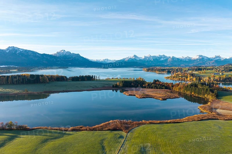 Wide landscape with lake surrounded by mountains and autumn trees under clear skies, Illasbergsee, Forggensee, near Roßhaupten, Ostallgäu, Allgäu, Swabia, Bavaria, Germany
