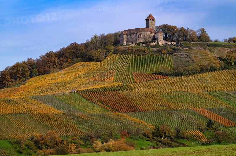Lichtenberg Castle, Oberstenfeld, Bottwartal, Löwensteiner Mountains, vineyard, vines, viticulture, graphic, autumn colors, autumn, Baden-Württemberg, Germany