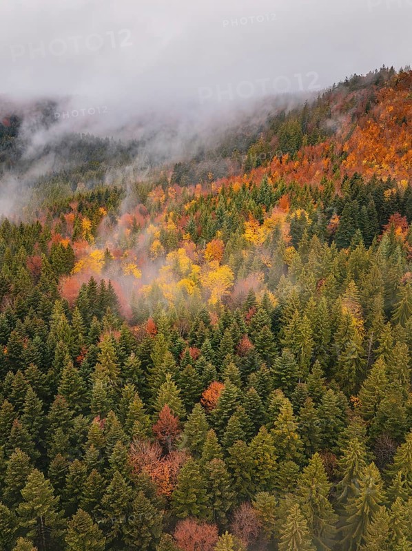 Foggy forest valley full of colorful autumn trees, taken from above, Wehingen, Tuttlingen district, Germany