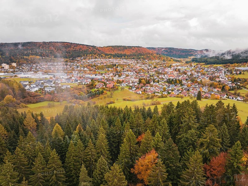 View over a colorful autumn forest to a distant city, surrounded by colors and hills under gray clouds, Wehingen, Tuttlingen district, Germany