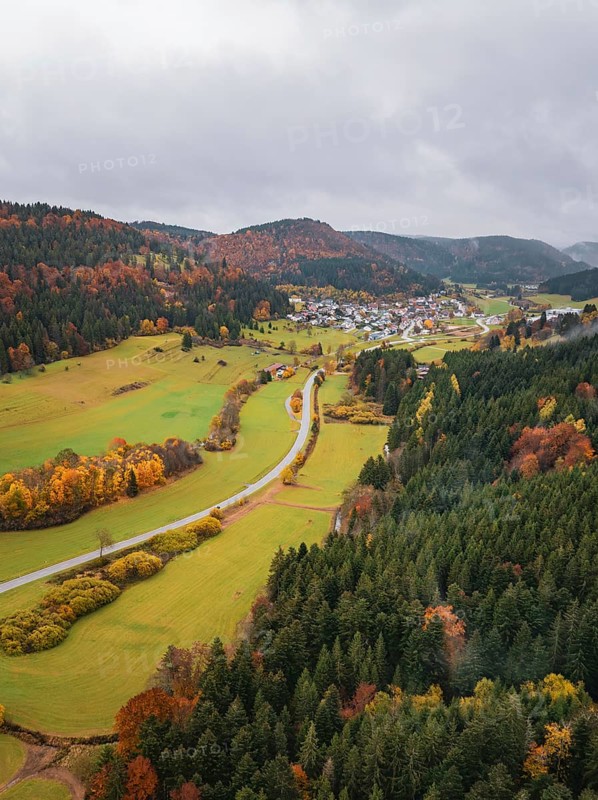 View of a curved road lined with colorful autumn leaves in hilly surroundings, Wehingen, Tuttlingen district, Germany