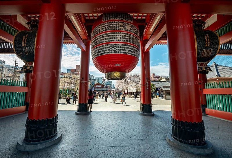 Huge red lantern in the Hozomon treasure chamber gate of Asakusa Shrine or Senso-ji Temple, Buddhist temple complex, Asakusa, Tokyo, Japan
