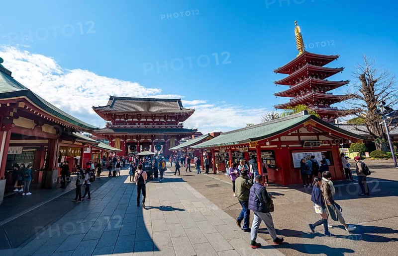 Five-story pagoda and Hozomon treasure chamber gate of Asakusa Shrine or Senso-ji Temple, blooming cherry trees, Buddhist temple complex, Asakusa, Tokyo, Japan