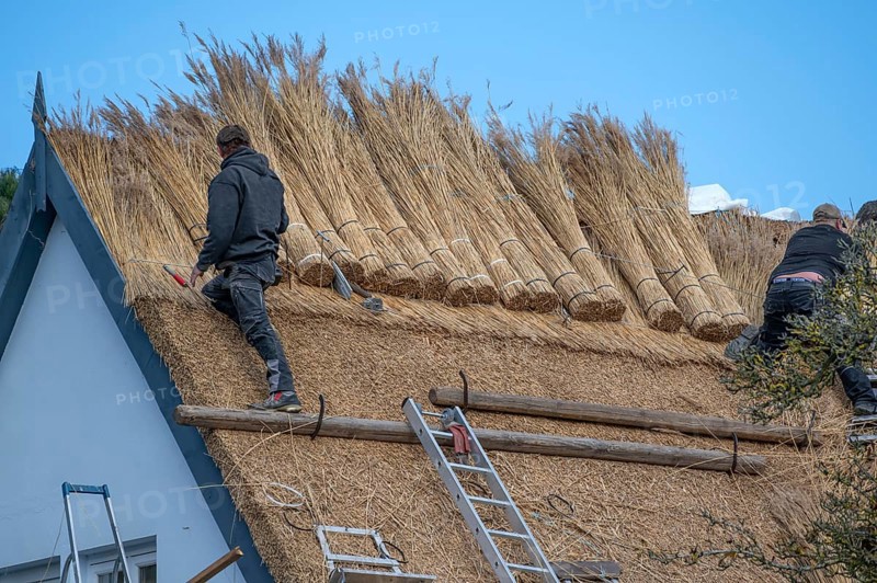 A thatched roof is covered, Wieck a. Darß, Baltic Sea, Mecklenburg-Western Pomerania, Germany