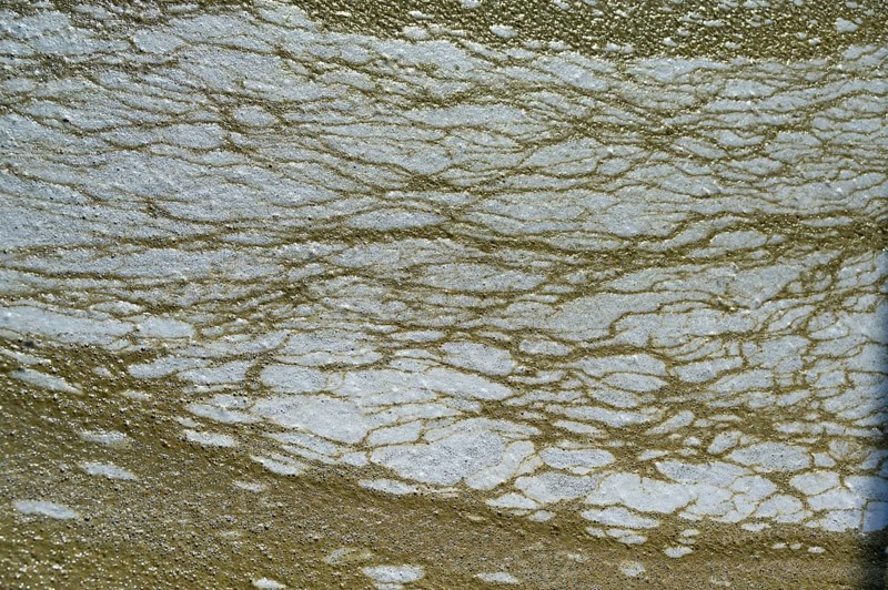 Structure of pollution in the port of Ahrenshoop, Darß, Baltic Sea, Mecklenburg-Western Pomerania, Germany