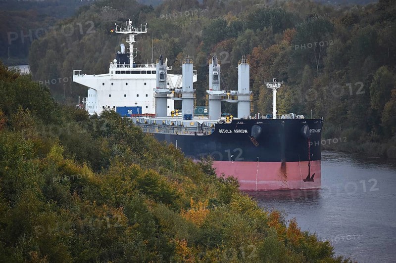 Freighter BETUAL ARROW sails in autumn in the Kiel Canal, NOK, Kiel Canal, Kiel Canal, Schleswig-Holstein, Germany