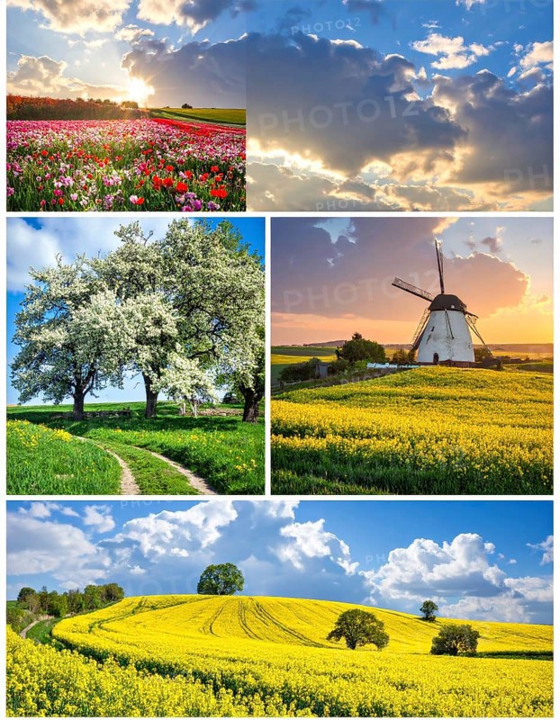 Collage of spring and summer landscapes, blooming flowers, green meadows and trees, hilly landscape with mountains, blue cloudy sky with sunrise or sunset, wallpaper illustration for banner or template background, AI generated